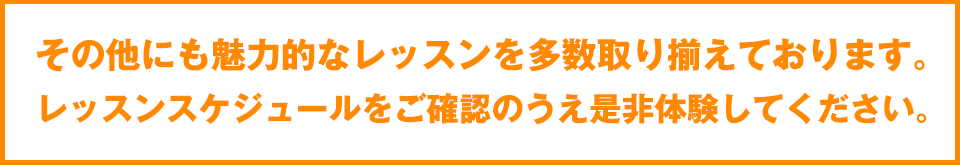 その他にも魅力的なプログラムを取り揃えております。レッスンスケジュールでご確認のうえご体験ください。